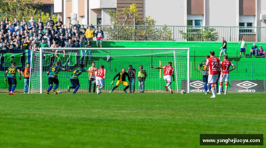 领跑者的选择，力量无限！